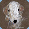 Bedlington Terrier w malarstwie