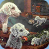 Bedlington Terrier w malarstwie