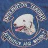 Bedlington Terrier w wyrobach